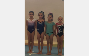 STAGE PAS GYMNASTIQUE ARTISTIQUE FÉMININE