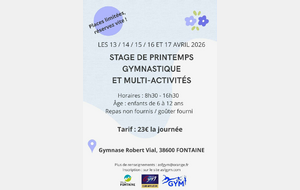Stage de printemps gymnastique et multi-activités