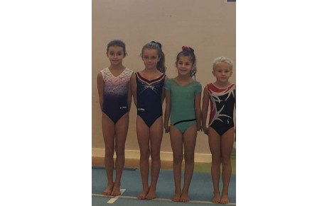 STAGE PAS GYMNASTIQUE ARTISTIQUE FÉMININE  