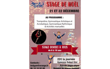 STAGE ANIMATION NOEL