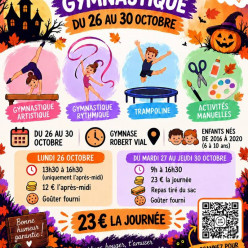 Stage loisir gymnastique